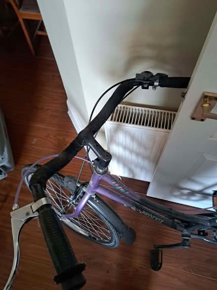 Photo of free Women's Bike (Gorgie EH11) #3