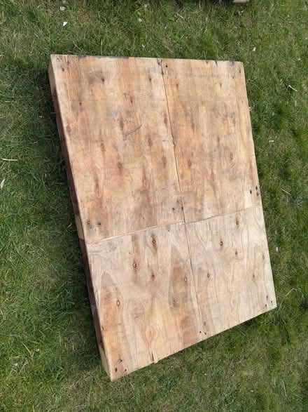Photo of free Solid plywood top pallet (Welling DA16) #2