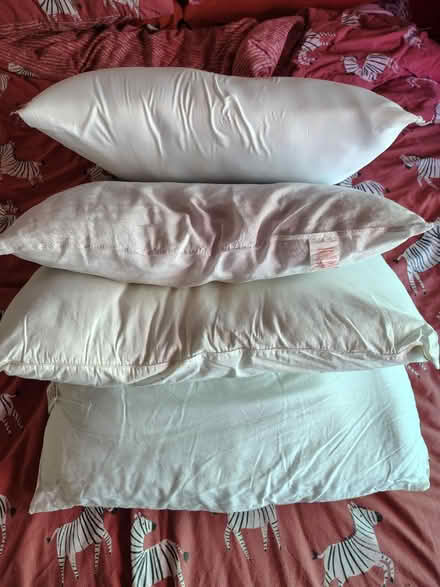 Photo of free Pillows (Yardley Wood B14) #1