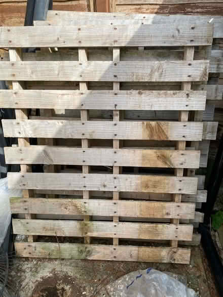 Photo of free 5 wooden pallets (Southborough TN4) #1