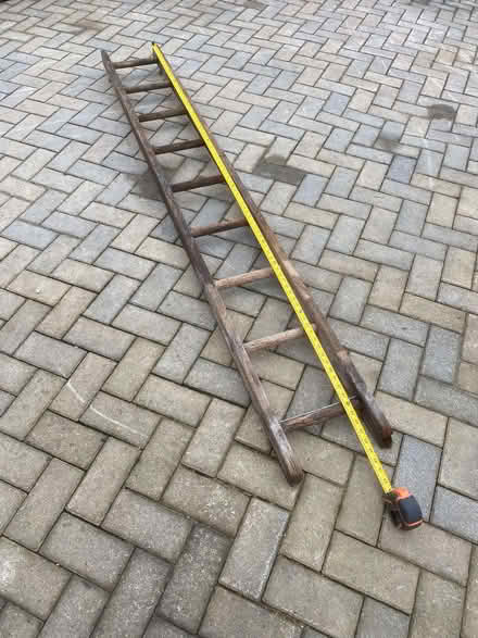 Photo of free Clematis or the like climbing ladder (Batheaston) #2
