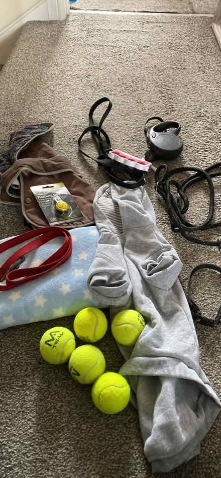 Photo of free Dog bundle (Plumpton CA11) #1