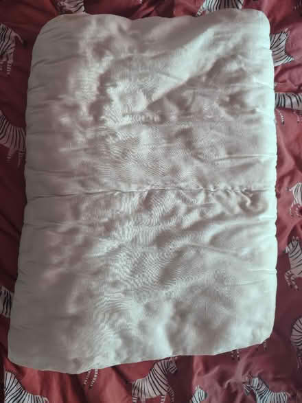 Photo of free Single duvet (Yardley Wood B14) #1