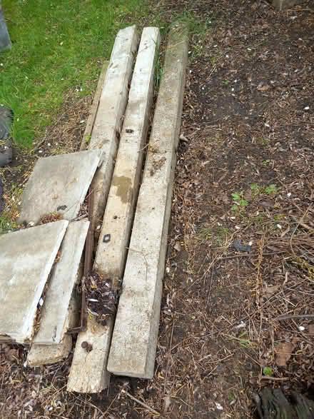 Photo of free 7ft concrete fence posts (Blunham) #1