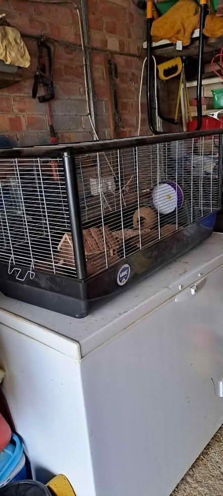 Photo of free Mouse/dwarf Hamster cage (Churchdown) #1