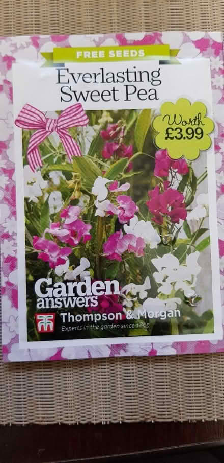 Photo of free Perennial sweet pea seeds (Abingdon Oxfordshire OX14) #1