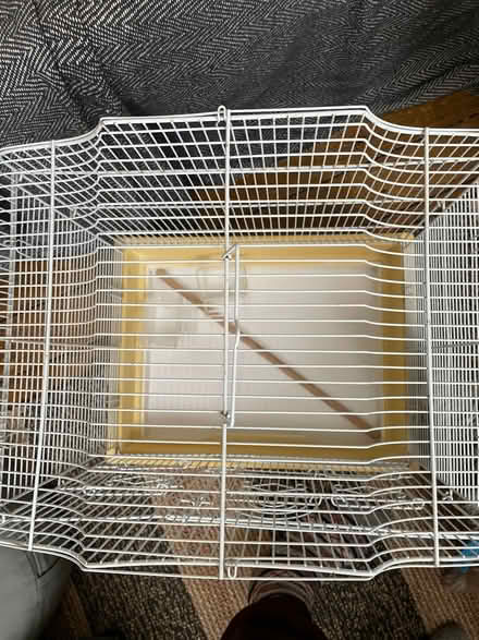 Photo of free Bird cage (Sevenoaks) #2