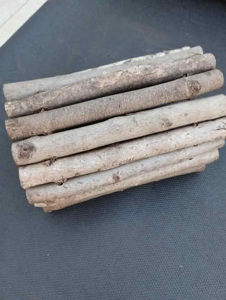 Photo of free Wooden tunnel for Guinea pig (Eastlands CV21) #1