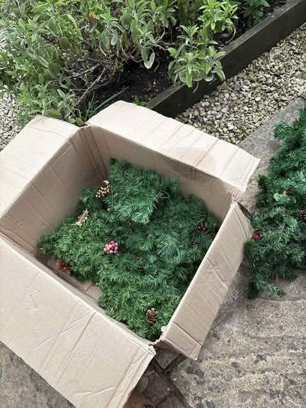Photo of free Christmas garland/swags (Michelmersh, Romsey) #3