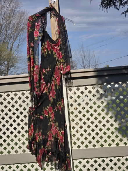 Photo of free Formal Silk Gown (Rush) #4