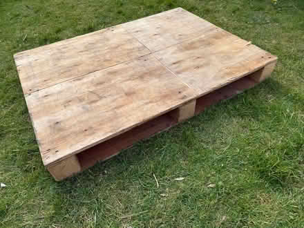 Photo of free Solid plywood top pallet (Welling DA16) #1