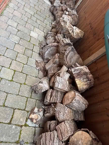 Photo of free 200 wooden logs - willow (KT7 - Thames Ditton) #1