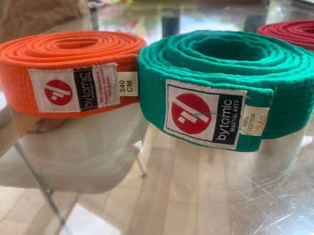 Photo of free Martial Arts Colour Belts x 4 240 cm each (Wootton OX13) #1