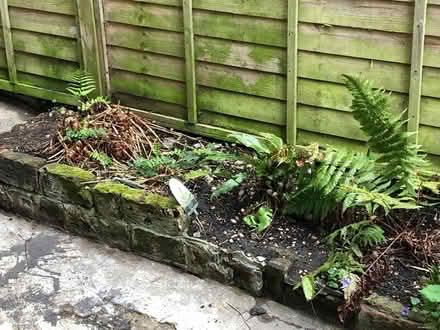 Photo of Reclaimed bricks (Streatham SW16) #1