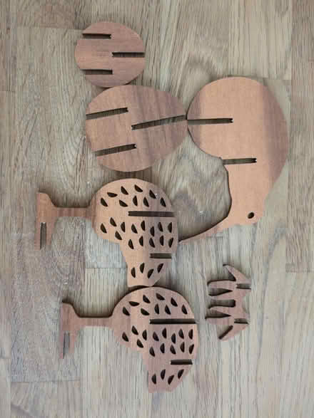 Photo of free Wooden kiwi model kit (Southbourne, Dorset) #3