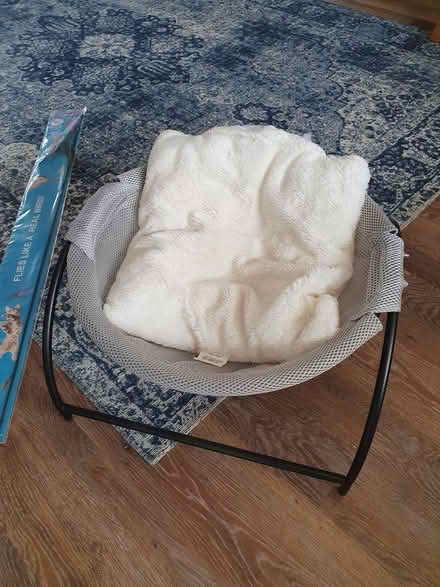 Photo of free Cat bed and toy (NG9) #2