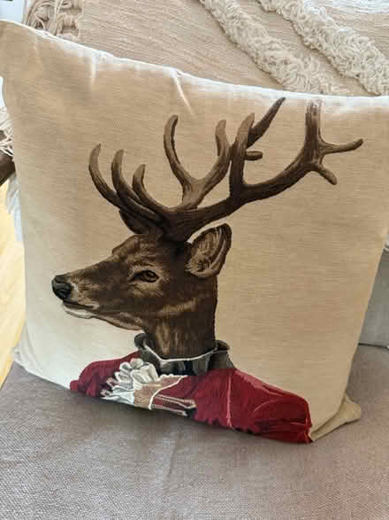 Photo of free Cushion (E9) #1