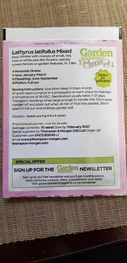 Photo of free Perennial sweet pea seeds (Abingdon Oxfordshire OX14) #2