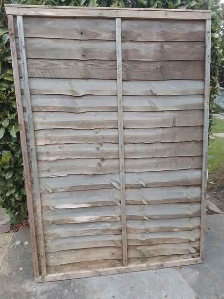 Photo of free Used fence panel (Trowbridge, BA14) #1