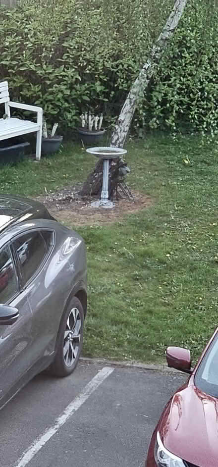 Photo of free Bird bath (Cannock WS12) #1
