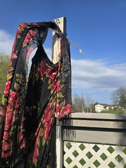 Photo of free Formal Silk Gown (Rush) #3
