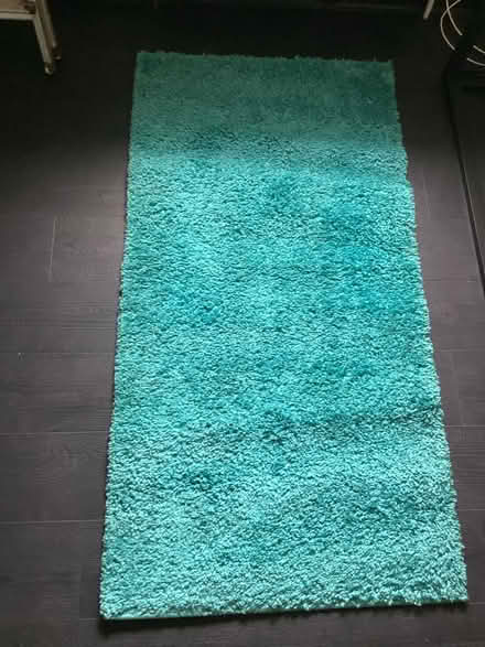 Photo of free Teal plain shaggy rug (Hatfield, AL10) #2