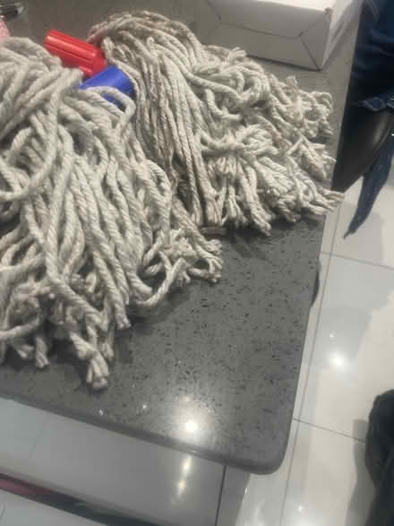 Photo of free Mop heads (Walthanstow/E17) #1