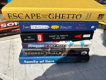 Photo of free Older kid or adults story books (Gipton LS8) #1