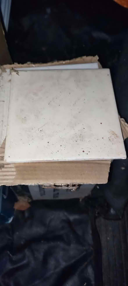 Photo of free new, unused tiles (not in original box) Cream colour (Sigglesthorne HU11) #1