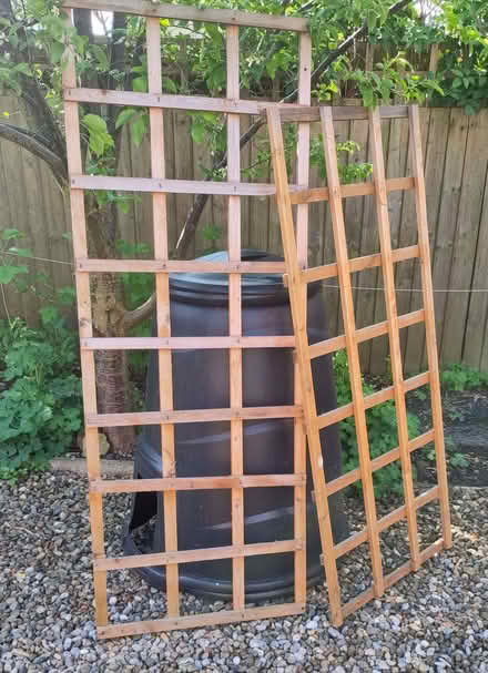 Photo of free Plant Frame (Heworth YO31) #1