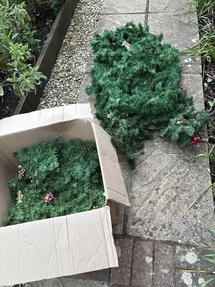 Photo of free Christmas garland/swags (Michelmersh, Romsey) #4