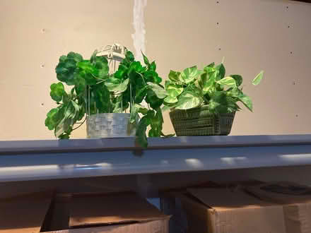 Photo of free Pretty Table Pieces (Utica-Shelby) #1