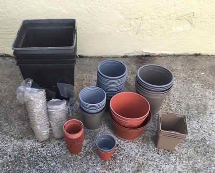 Photo of free Plant pots (Starbeck HG1) #1