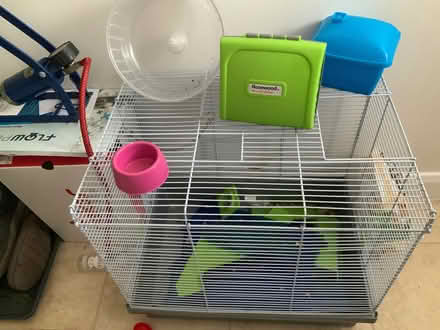 Photo of free Large hamster, small rodent cage incl accessories & bedding (Knebworth SG3) #1