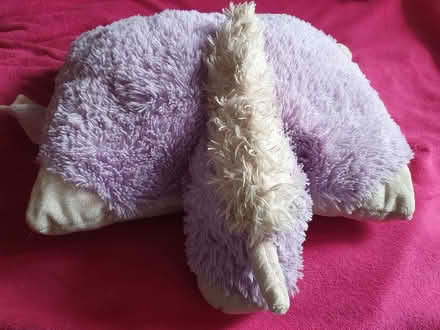 Photo of free 3 soft toys (Clive Vale TN35) #2