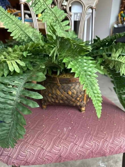 Photo of free Artificial fern in pot (Elmhurst area) #2