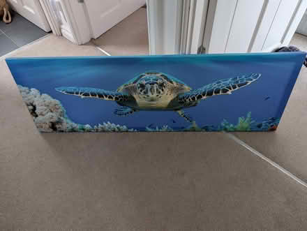 Photo of free Large turtle on canvas picture (Tadworth KT20) #1