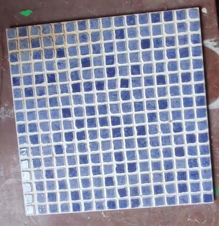 Photo of free 21 wall/floor tiles (Woking) #1