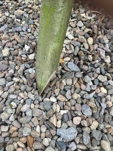 Photo of free Rain Gauge - With Pole (Bisley GL6) #2