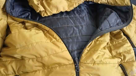 Photo of free Mustard mens XL lightly padded coat (Shipley) #4