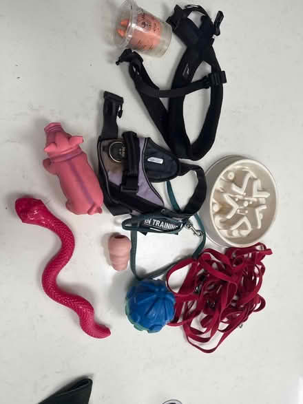Photo of free Puppy kit (W13) #1