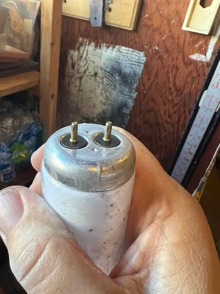 Photo of free Jumper cables, shop light 4' (West Petaluma) #3