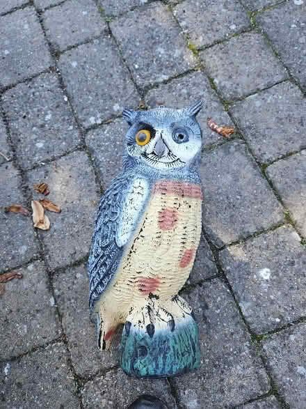 Photo of free Large plastic owl bird scarer, one eye missinge (Northgate Village CH2) #1