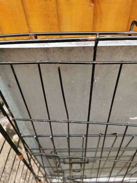 Photo of free Dog Crate (Brickhill MK41) #1