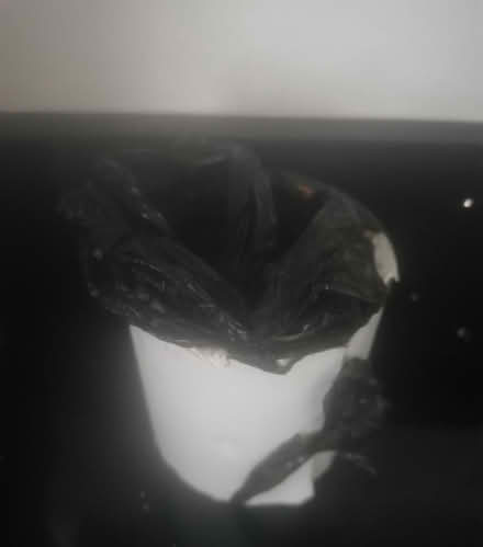 Photo of free Gorilla glue waterproof tape (Ore TN35) #1