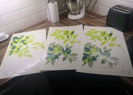 Photo of free Wall stickers (Heathgates SY1) #1