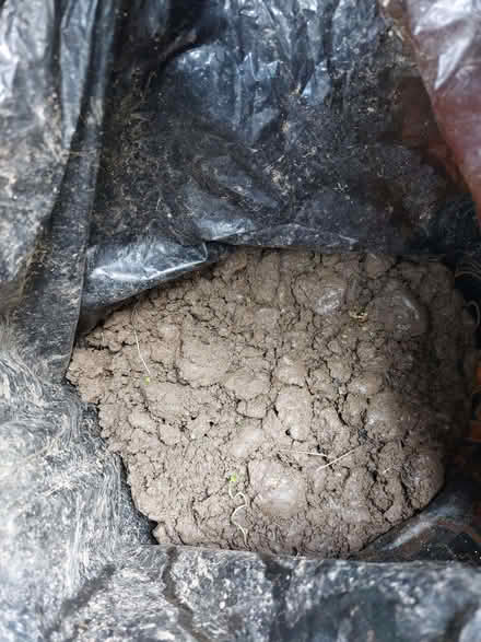 Photo of free Soil (Humphrey's End GL6) #2