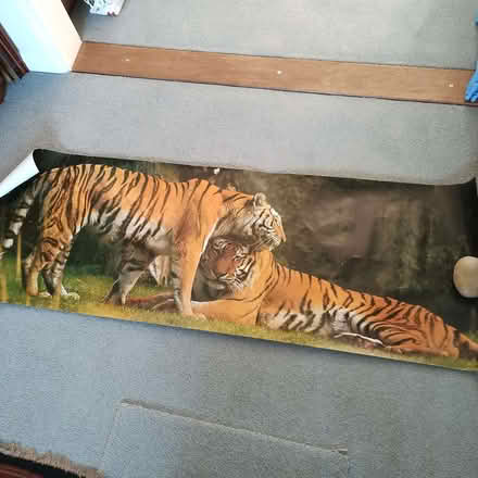 Photo of free Large Poster of Two Tigers (Rayleigh SS6) #2
