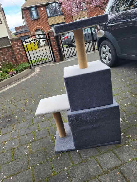 Photo of free Cat tree (Norton Sheffield S8) #3