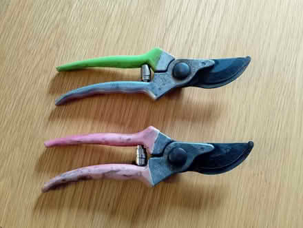 Photo of free Secateurs x2 (Yate BS37) #1